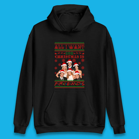 Want Friends For Christmas Unisex Hoodie