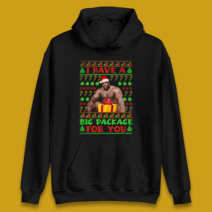 Big Package Ugly Christmas Unisex Hoodie