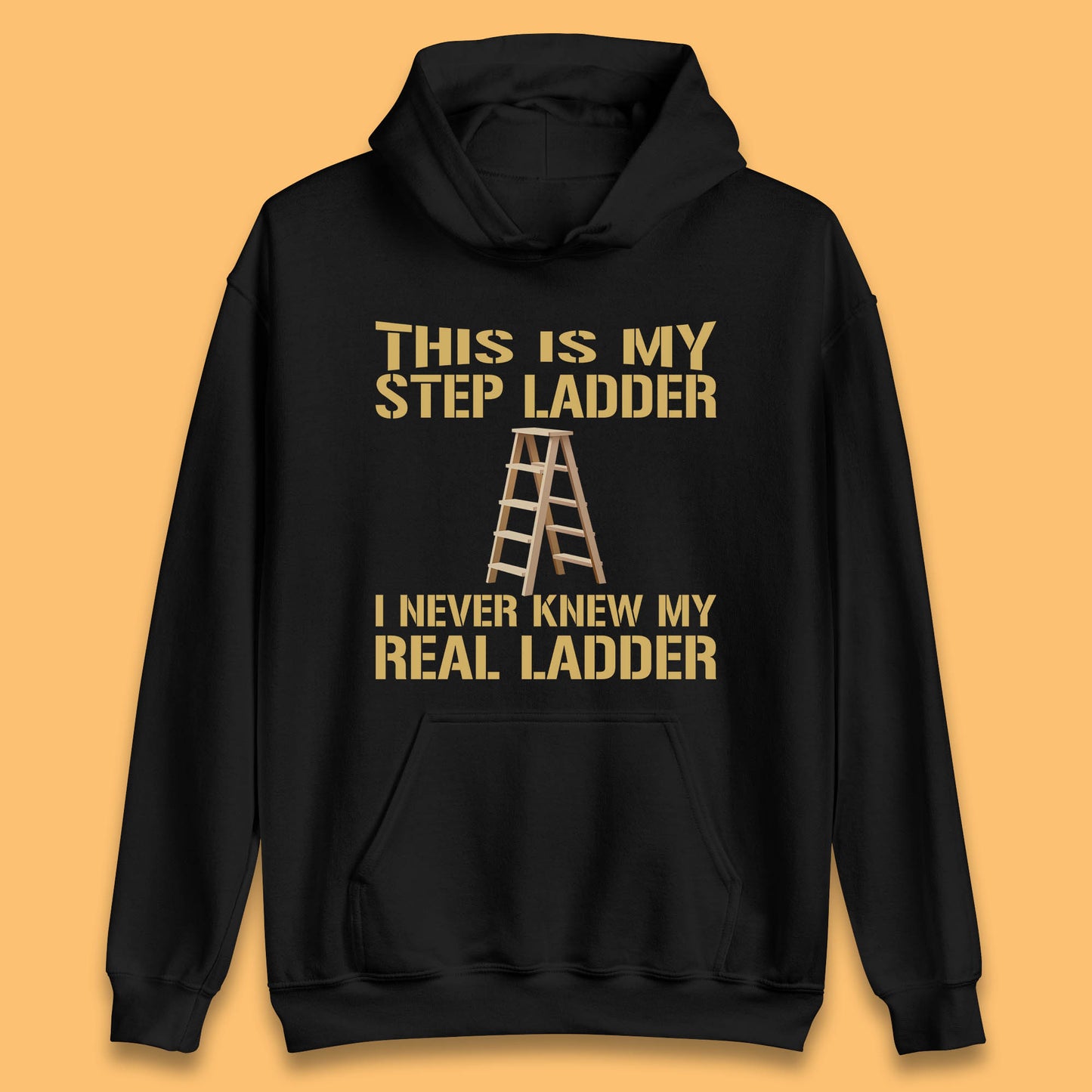 This Is My Step Ladder I Never Knew My Real Ladder Funny Joke Humour Unisex Hoodie