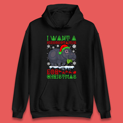 I Want A Hippopotamus For Christmas Unisex Hoodie