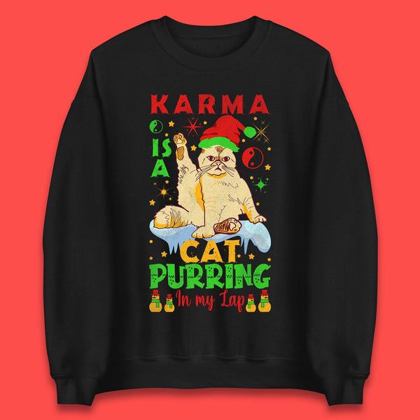 Christmas Karma Is A Cat Unisex Sweatshirt
