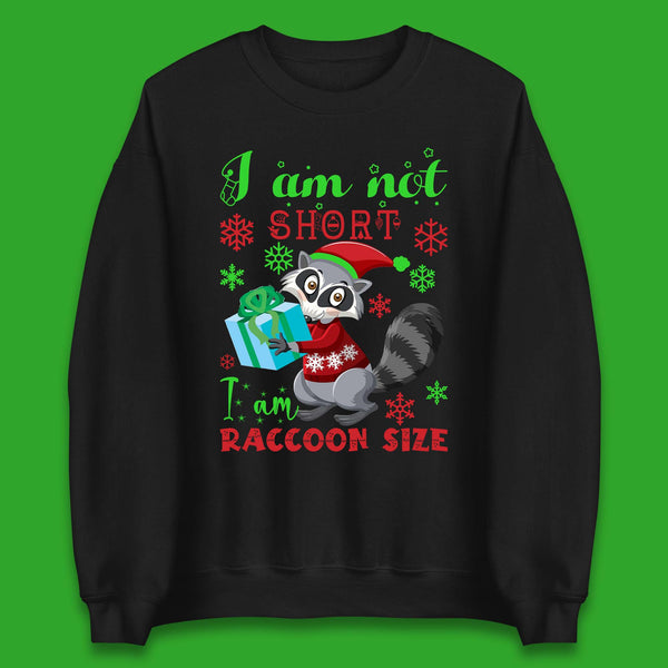 Racoon Christmas Jumper