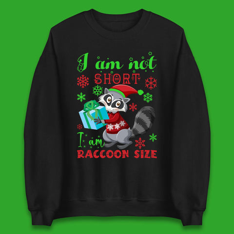 Raccoon Christmas Unisex Sweatshirt
