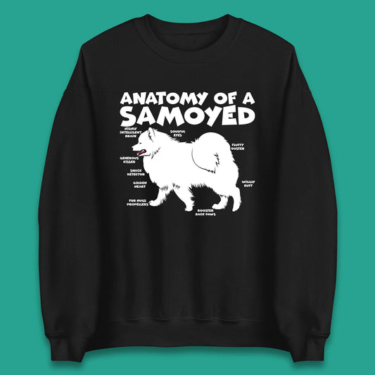 Samoyed Dog Jumper