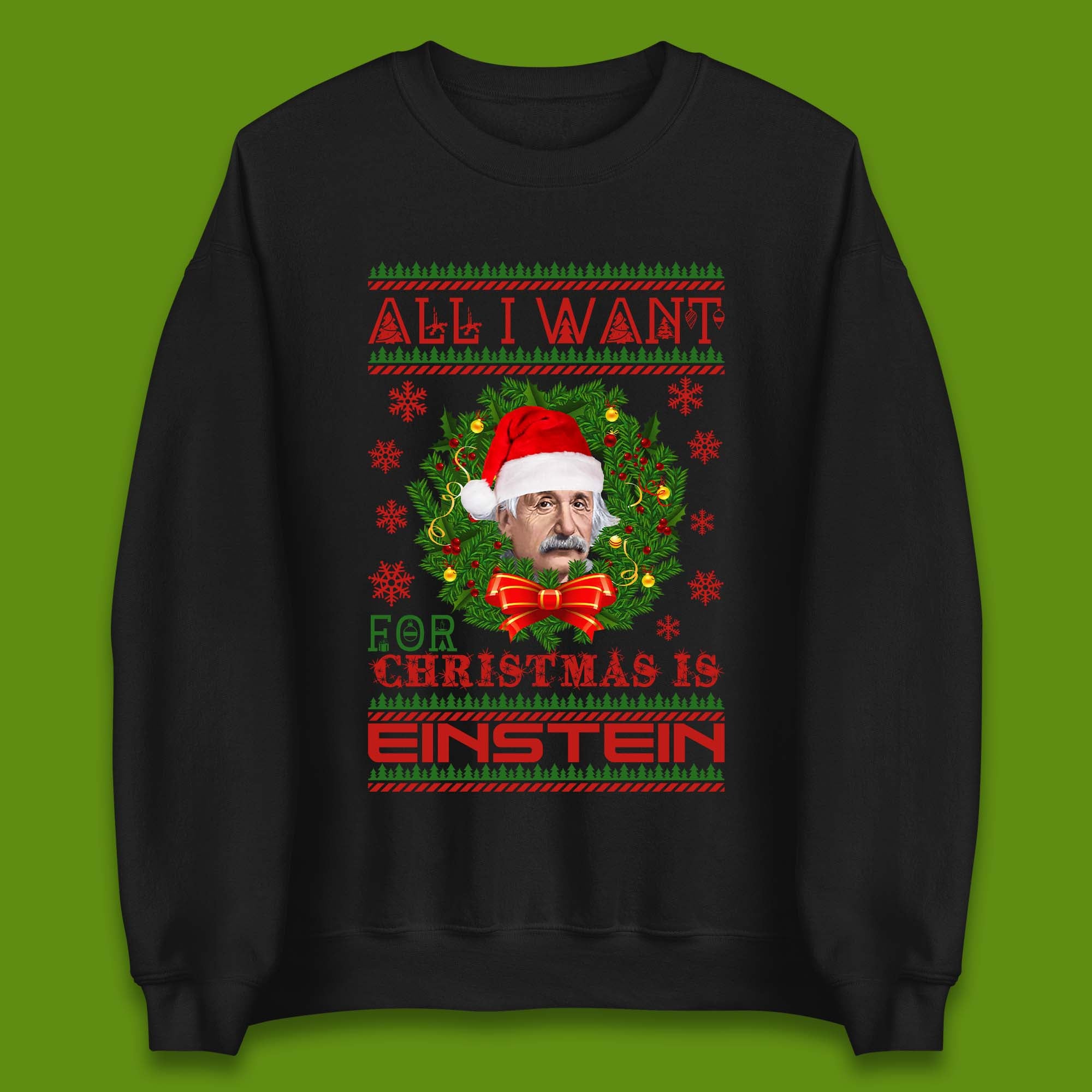 Want Einstein For Christmas Unisex Sweatshirt