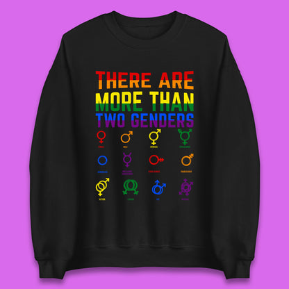 There Are More Than Two Genders Unisex Sweatshirt