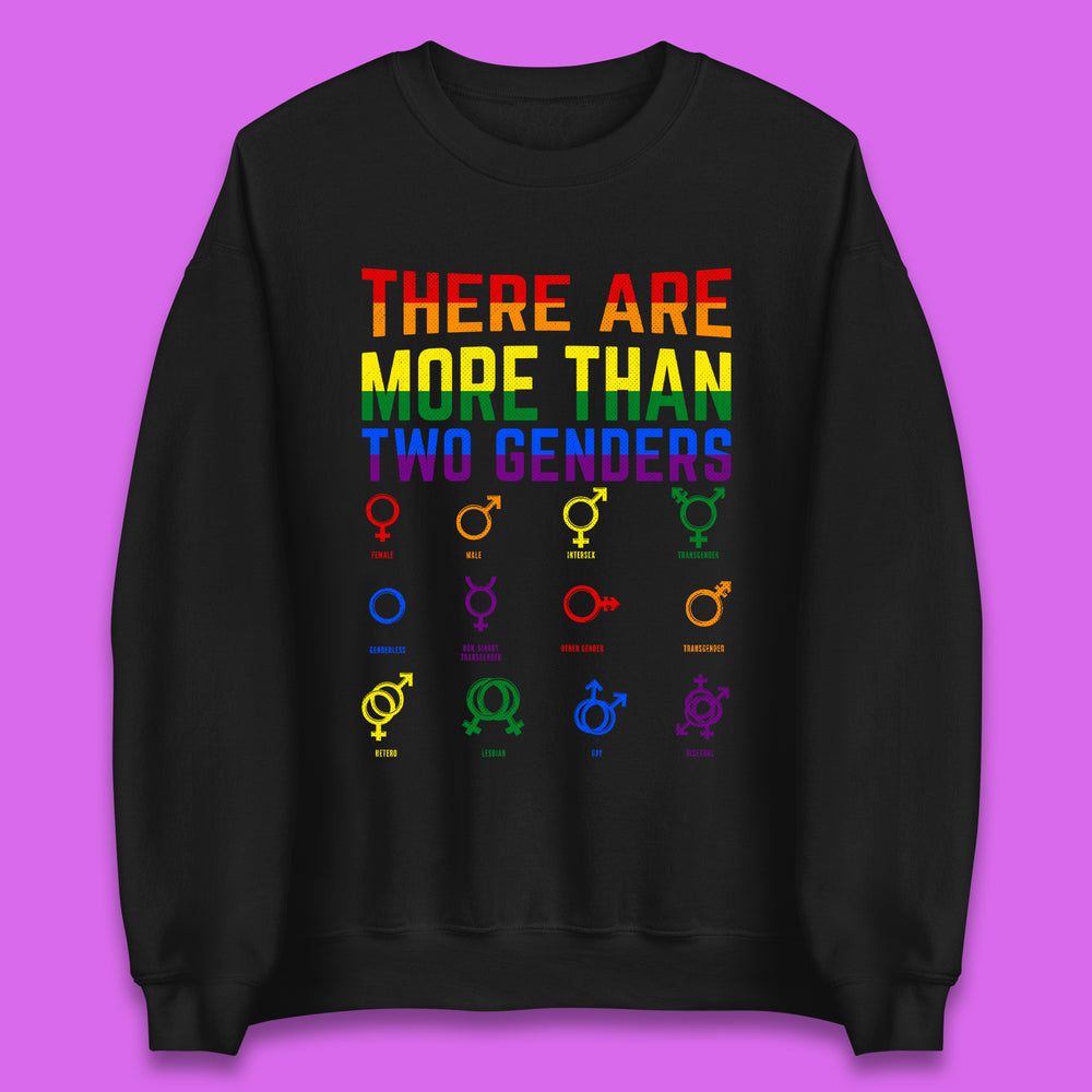 There Are More Than Two Genders Unisex Sweatshirt