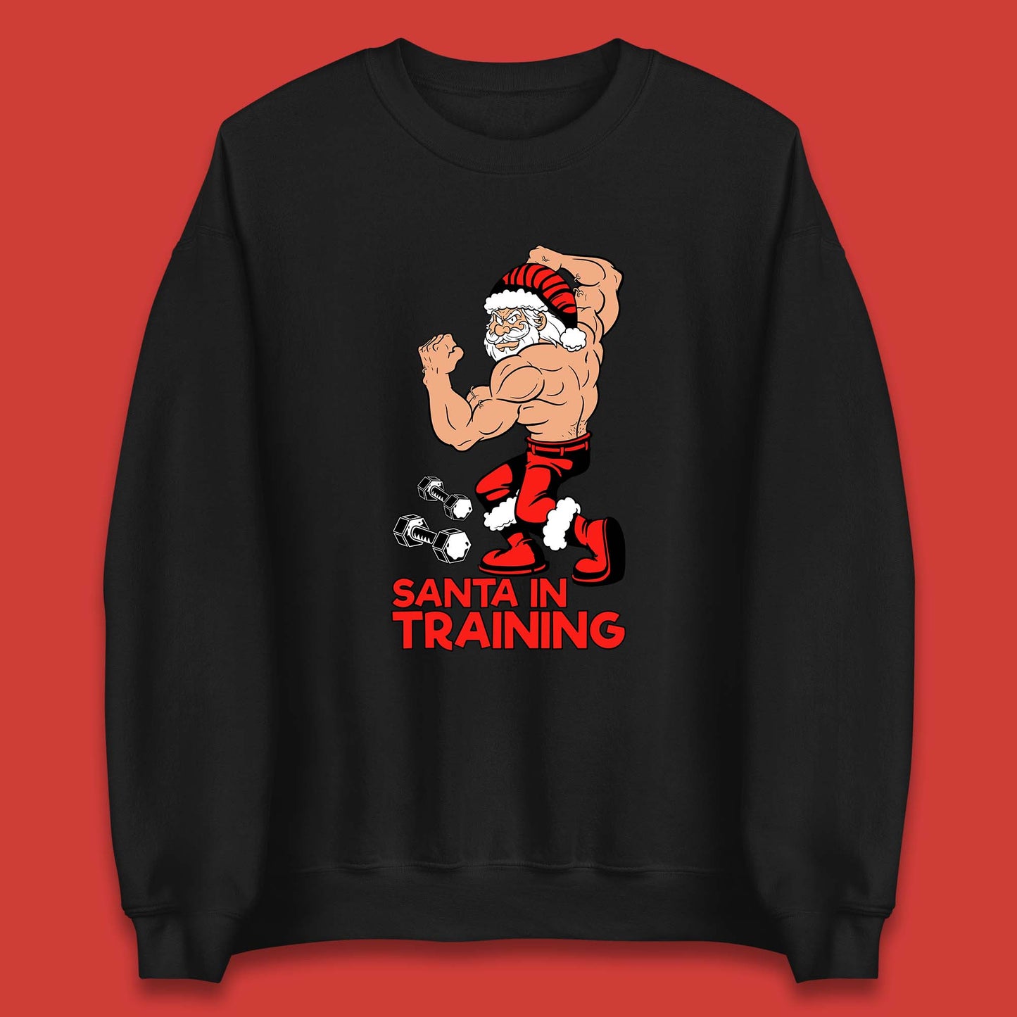 bodybuilding gym sweatshirt