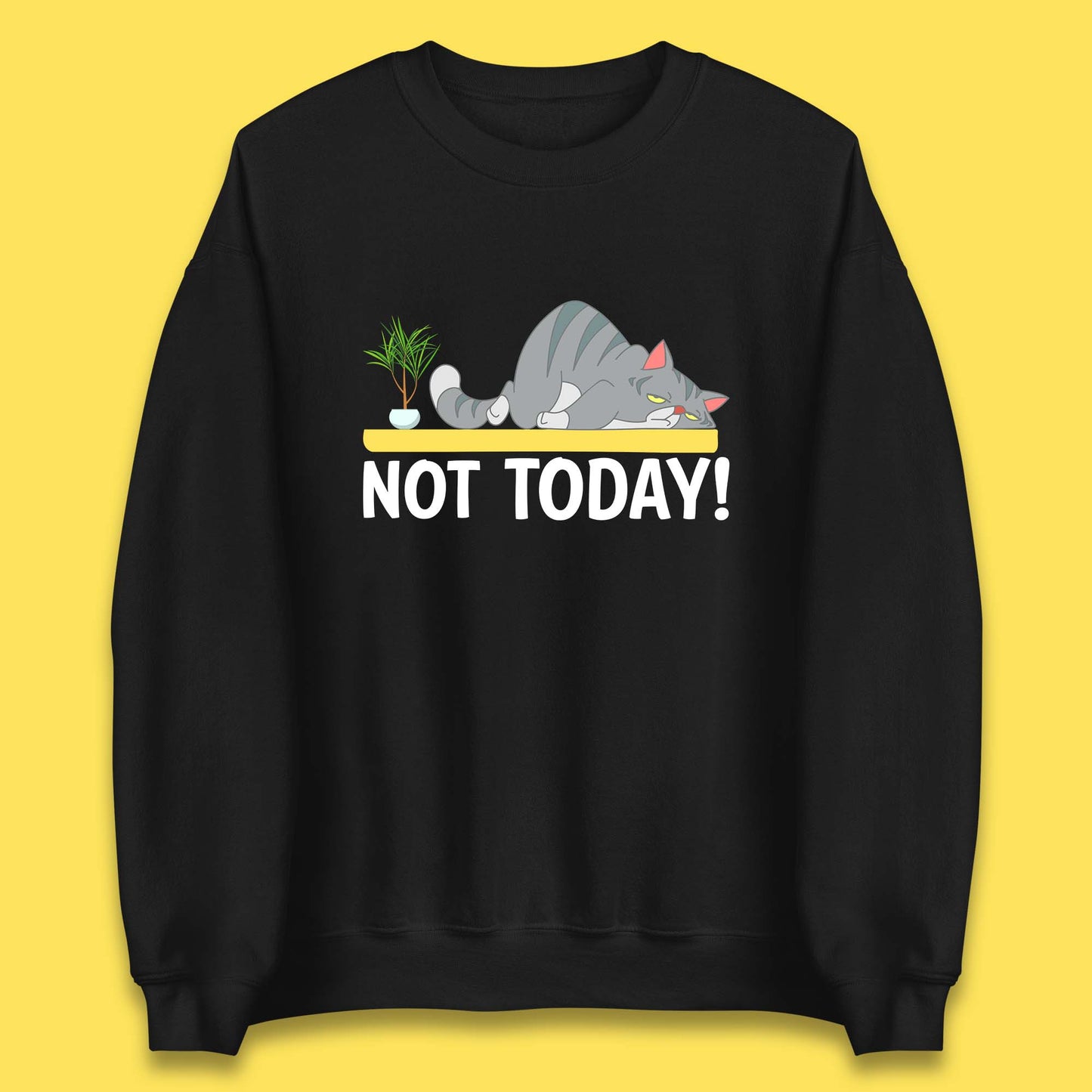 Not Today Cat Funny Kitten Lazy Cats Sleepy Cat Lover Unisex Sweatshirt