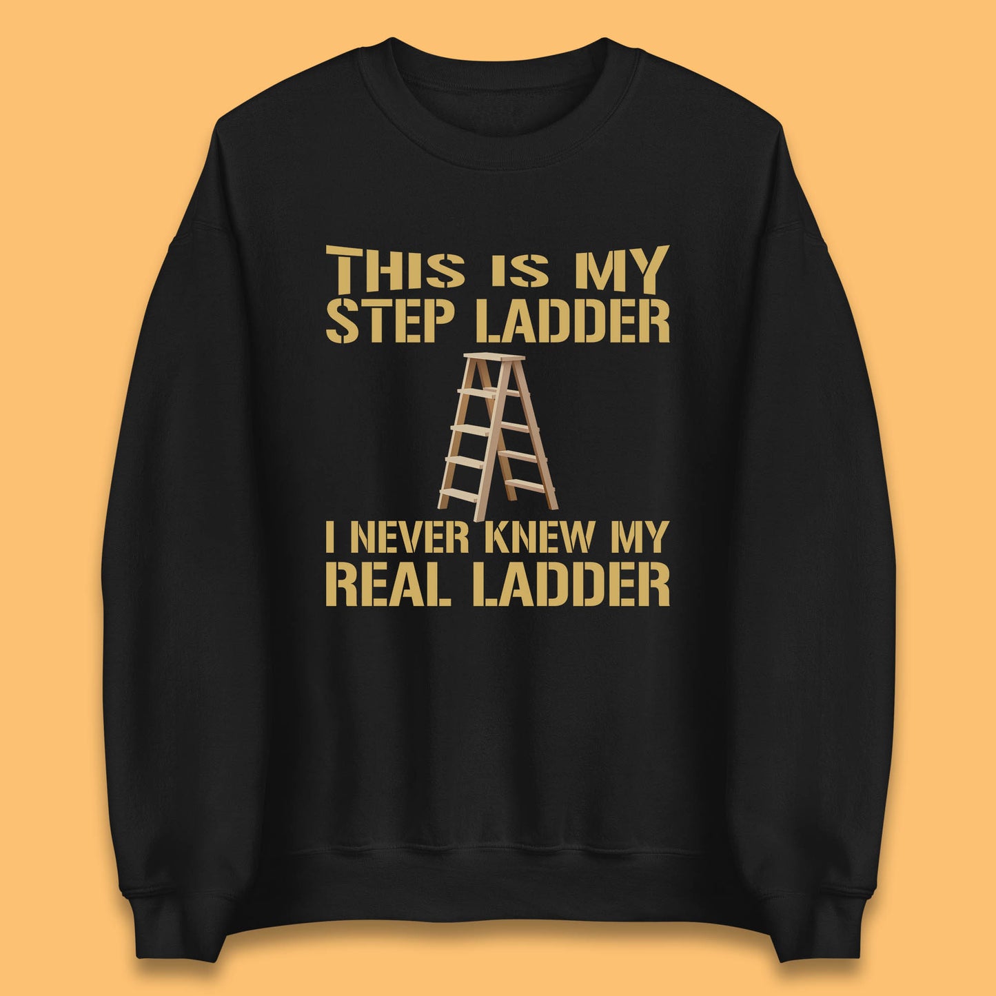 This Is My Step Ladder I Never Knew My Real Ladder Funny Joke Humour Unisex Sweatshirt