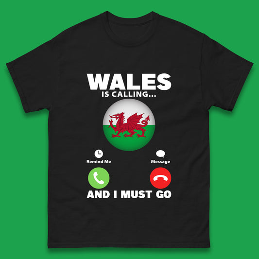 Welsh T Shirt