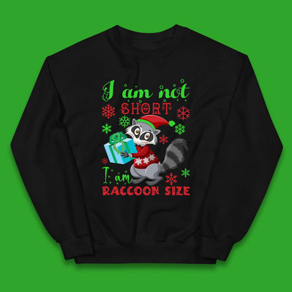 Raccoon Christmas Kids Jumper