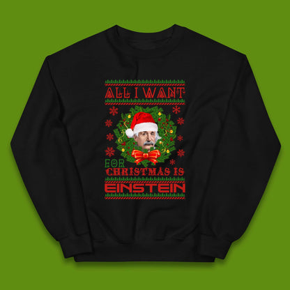 Want Einstein For Christmas Kids Jumper