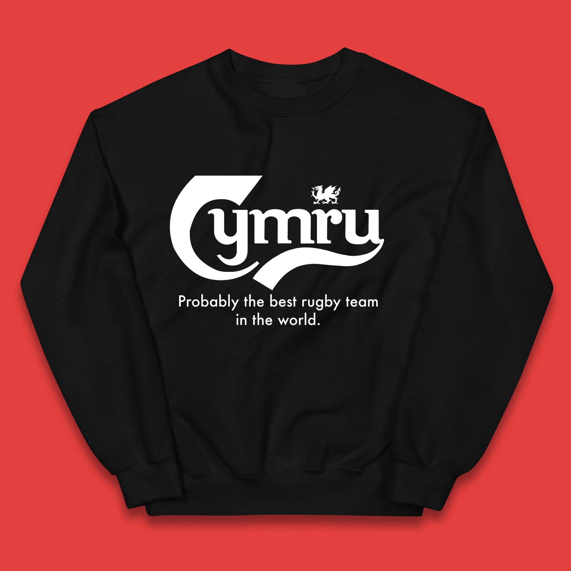 Junior Wales Rugby Hoodie