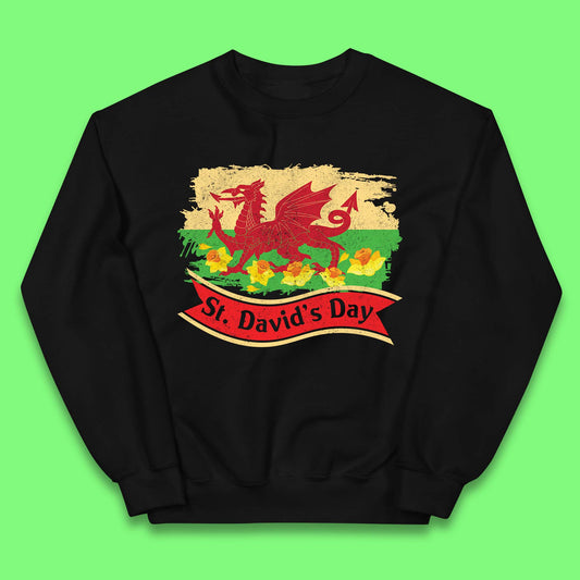 Childtens St Davids Day Jumper