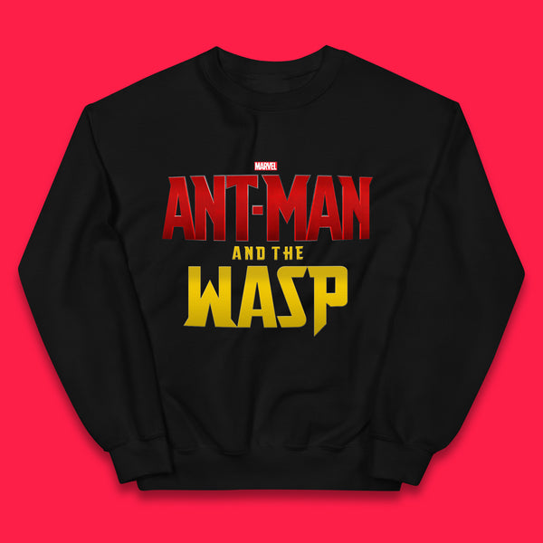 Marvel Ant Man and The Wasp American Comic Superhero Marvel Avengers Movie Kids Jumper