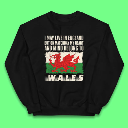 Childrens Wales Football Team Jumper