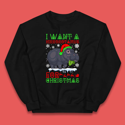 I Want A Hippopotamus For Christmas Kids Jumper