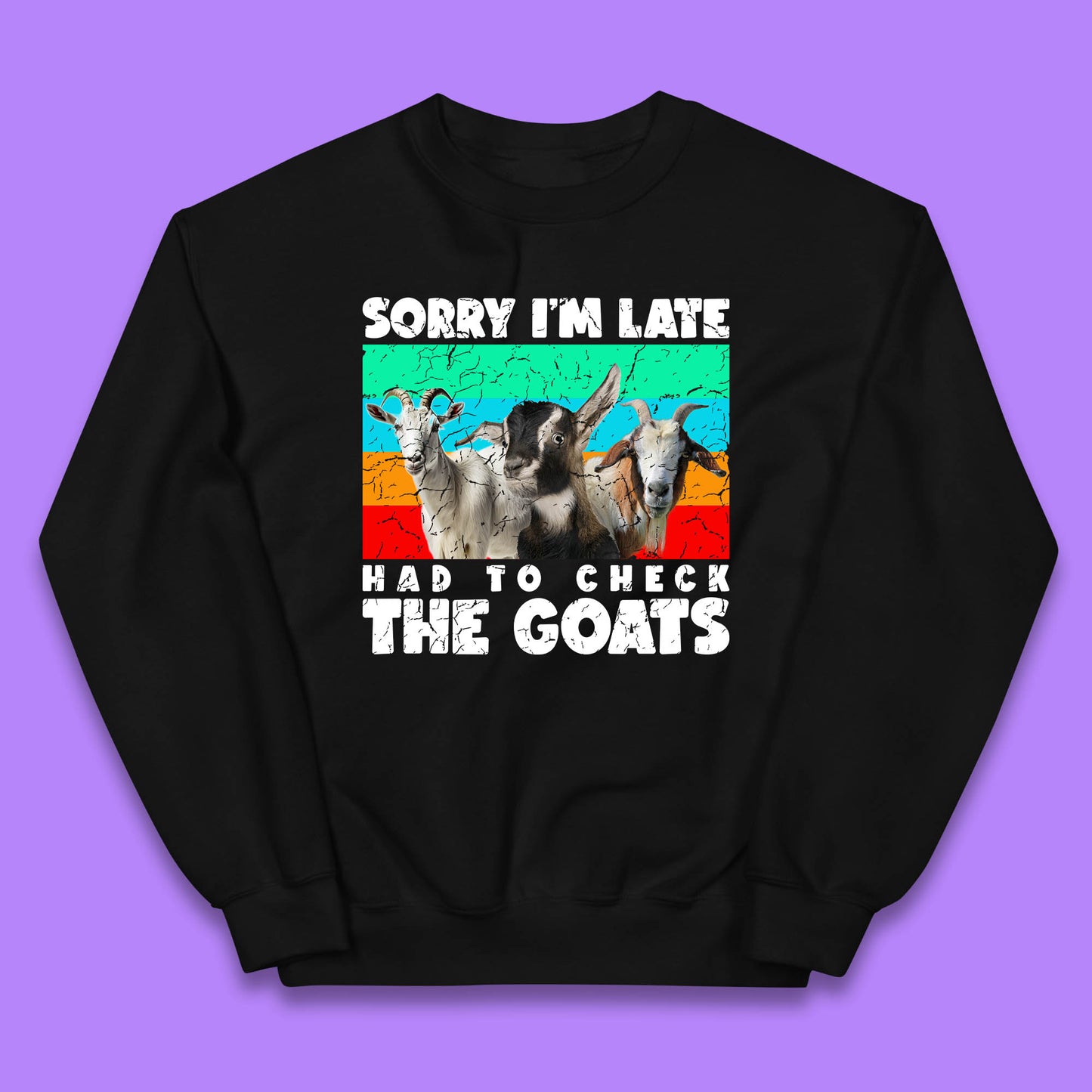 Sorry I'm Late Had To Check The Goats Vintage Goat Lover Farmer Kids Jumper