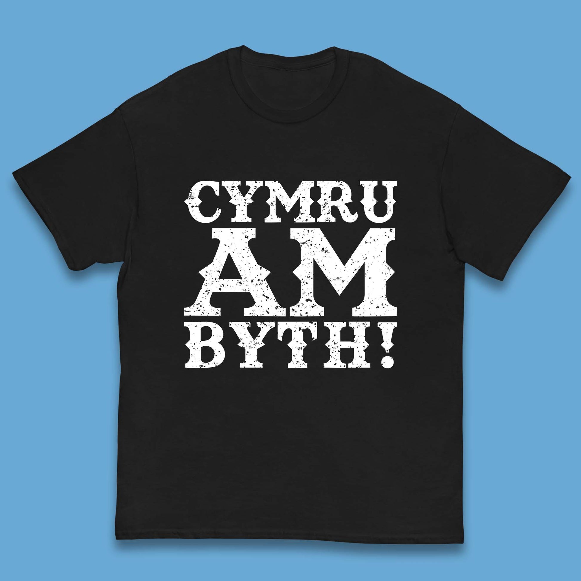 Childrens Wales T Shirt