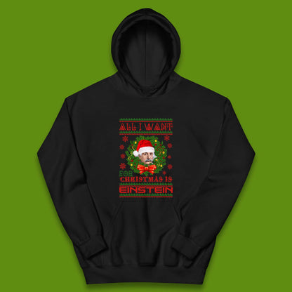 Want Einstein For Christmas Kids Hoodie