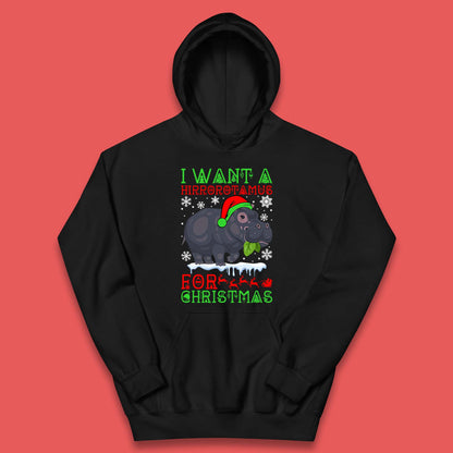 I Want A Hippopotamus For Christmas Kids Hoodie