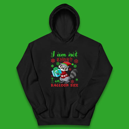 Raccoon Christmas Kids Hoodie