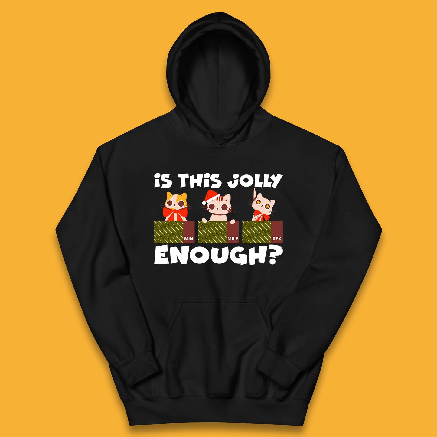 christmas cat hoodie