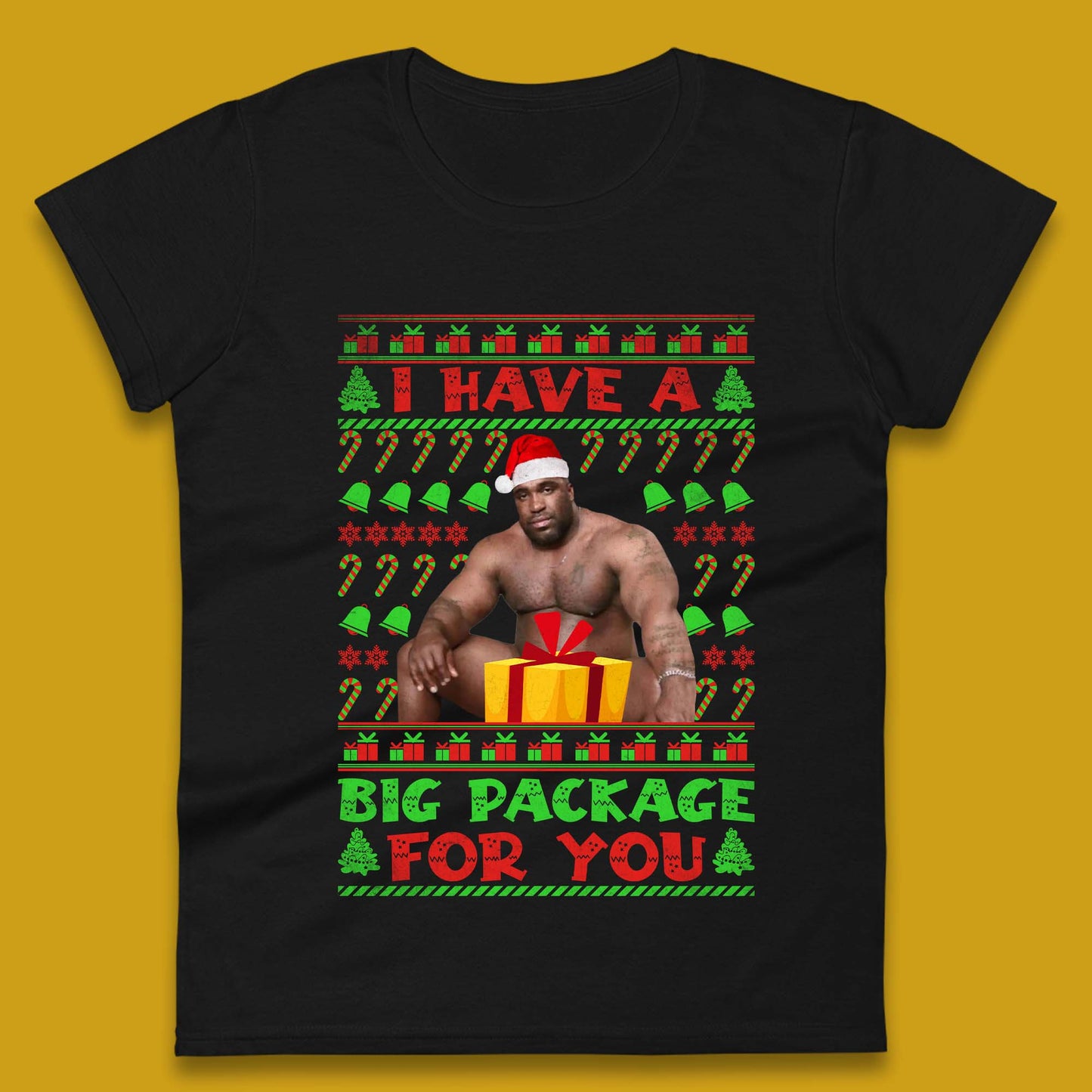 Big Package Ugly Christmas Womens T-Shirt