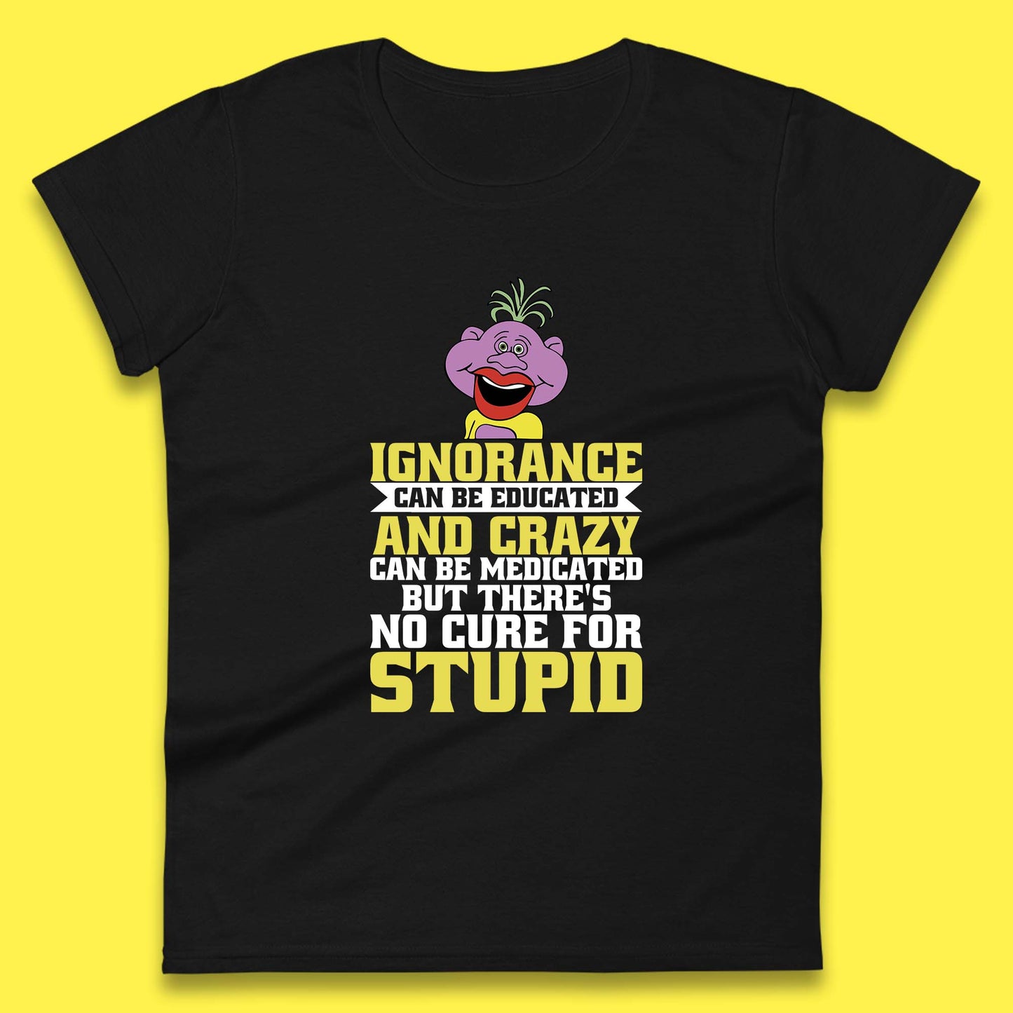 Ignorance Can Be Educated And Crazy Can Be Medicated But There's No Cure For Stupid Anonymous Quote Womens Tee Top