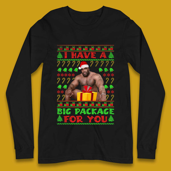Big Package Ugly Christmas Long Sleeve T-Shirt