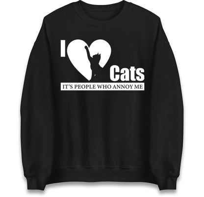i love cats jumper
