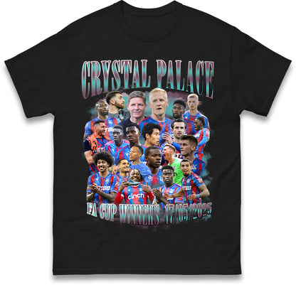 Palace T Shirt