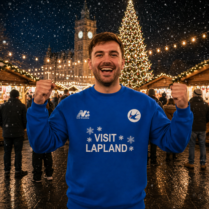 Cardiff City Christmas Jumper