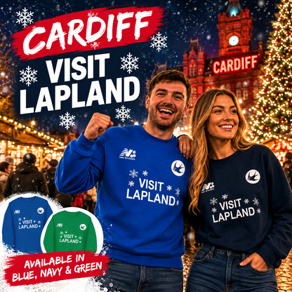Cardiff City Christmas Jumper