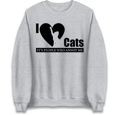i love cats jumper