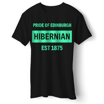 Hibernian Football T Shirt