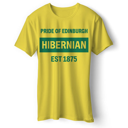 Hibernian Football T Shirt