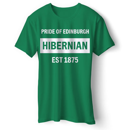 Hibernian Football T Shirt