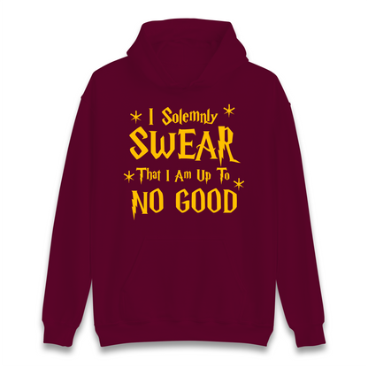 Harry Potter Hogwarts Hoodie