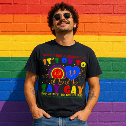 It's Okay to Say Gay T Shirt