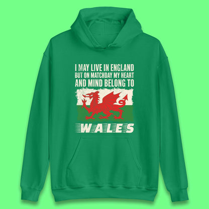Welsh Football Team Hoodies for Sale
