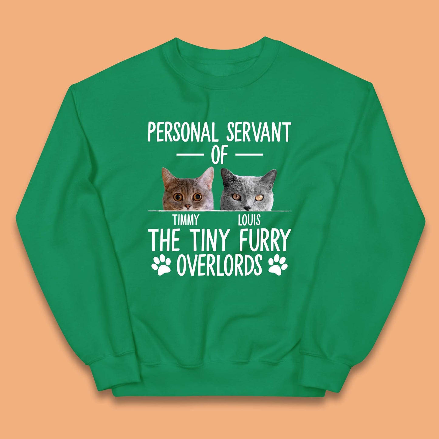 Personalised Servant Of The Tiny Furry Overlords Kids Jumper