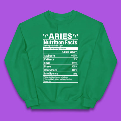 Aries Nutrition Fact Kids Jumper