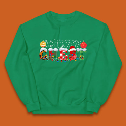 chest and nuts christmas snow winter jumper