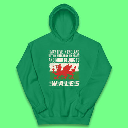 Children's Wales Football Hoodies UK