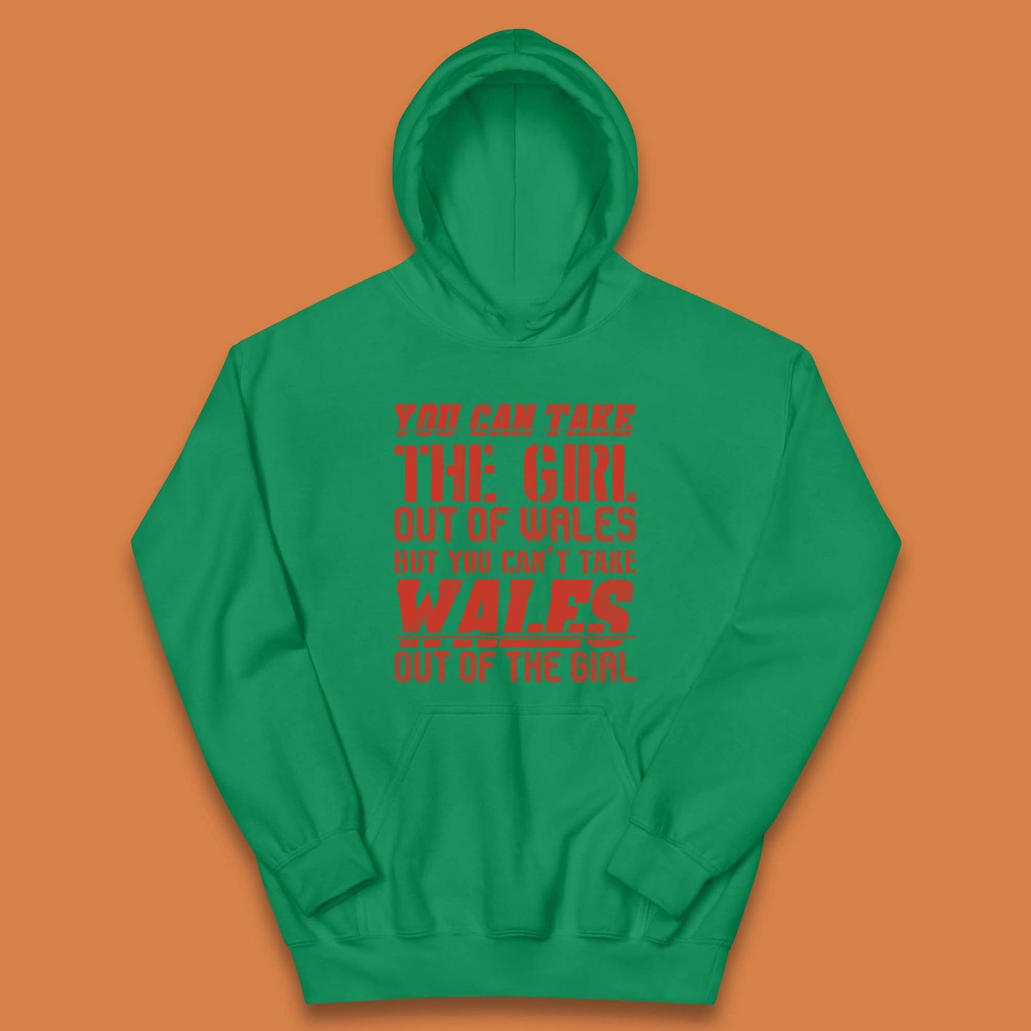 The Girl Out Of Wales Kids Hoodie