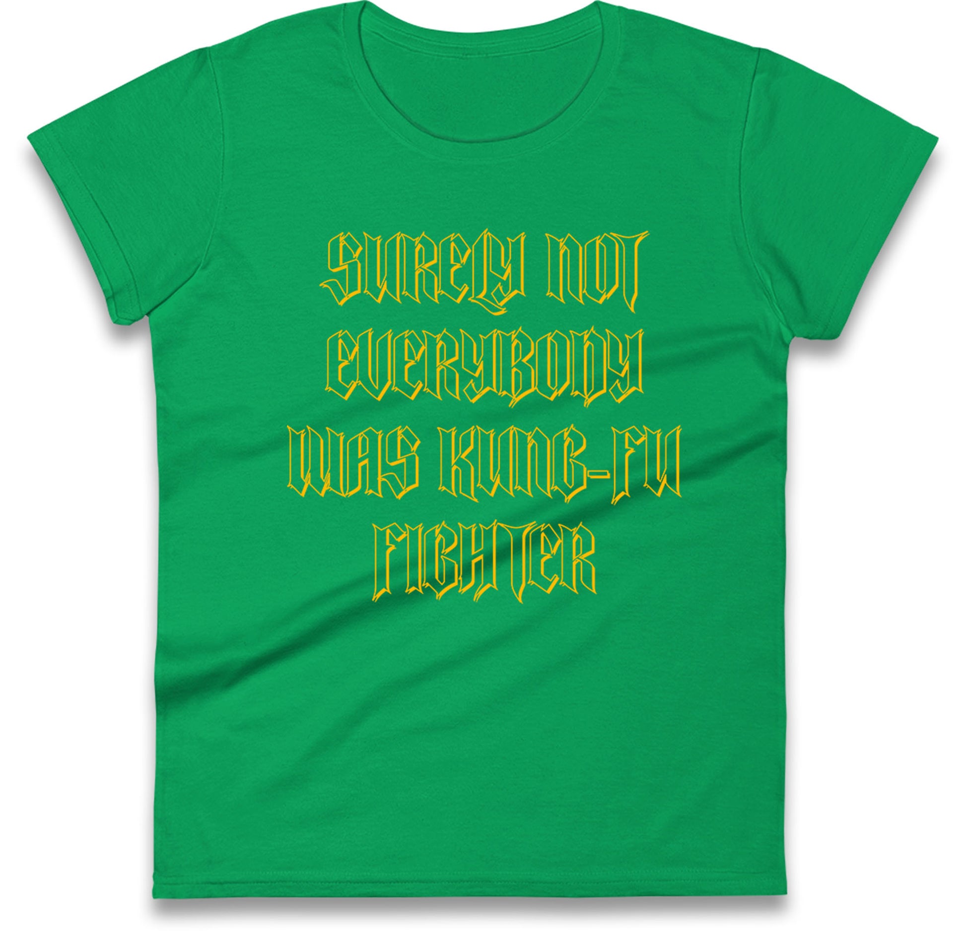 Kung Fu Fighter Womens T Shirt