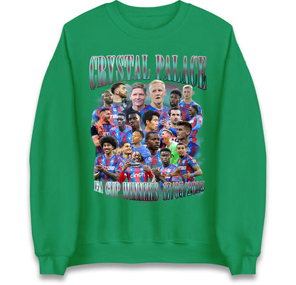 Crystal palace FC Jumper
