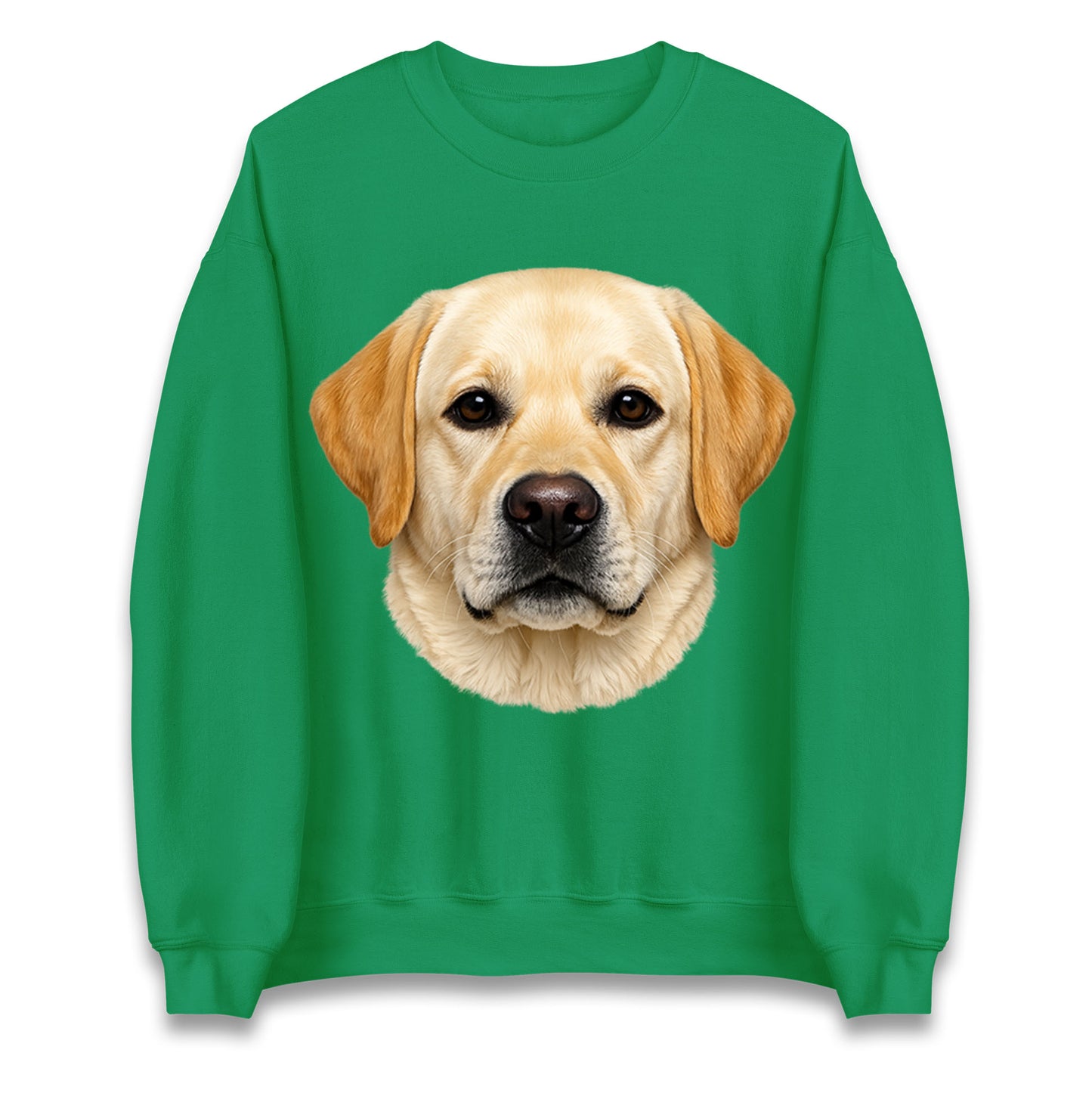 Labrador Dog Face Jumper 